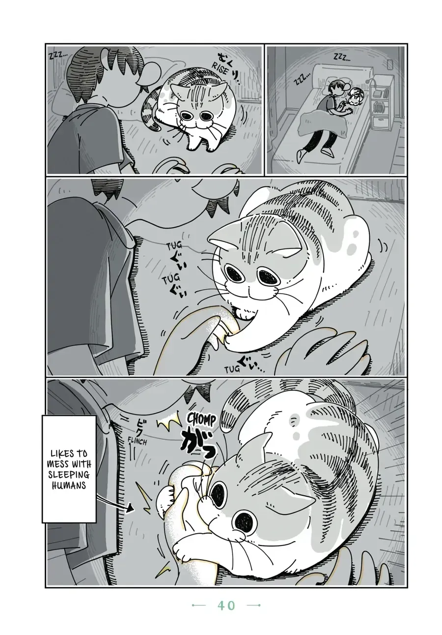 Nights With a Cat Chapter 11.1 page 3 - 