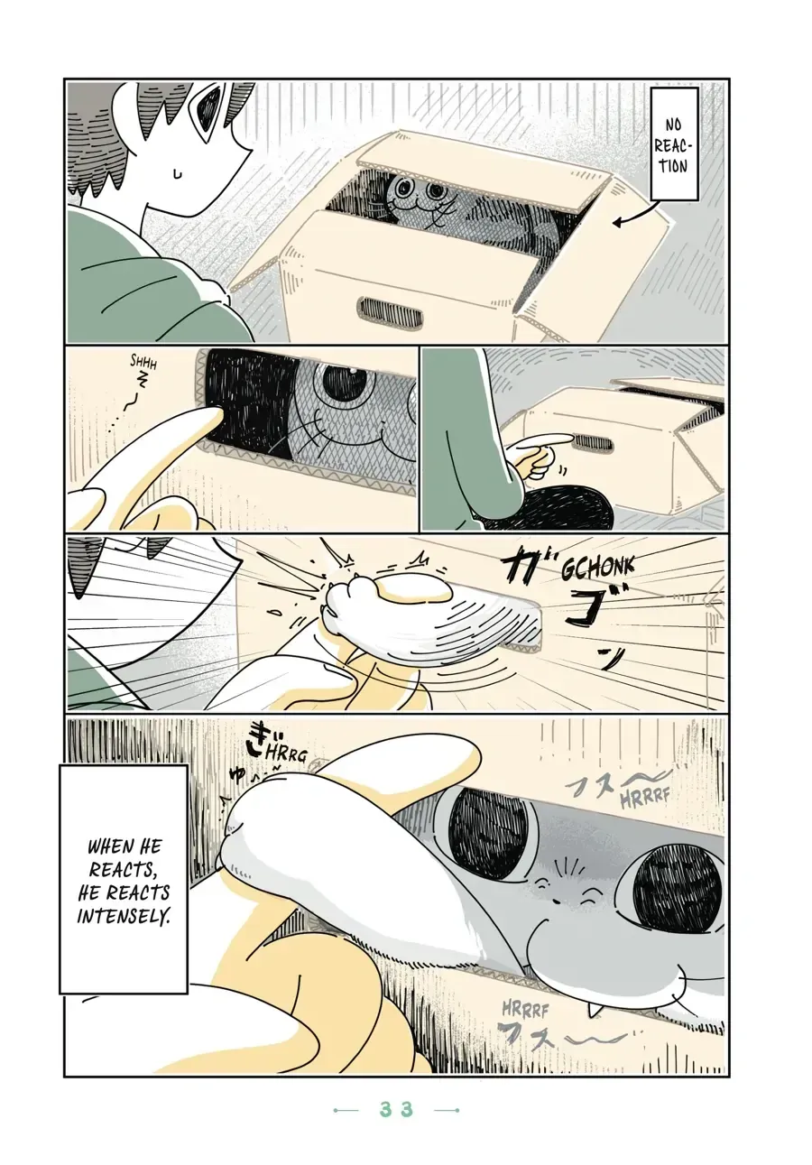 Nights With a Cat Chapter 11.2 page 2 - 