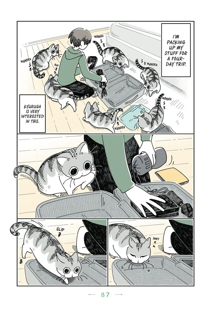 Nights With a Cat Chapter 11 page 2 - 