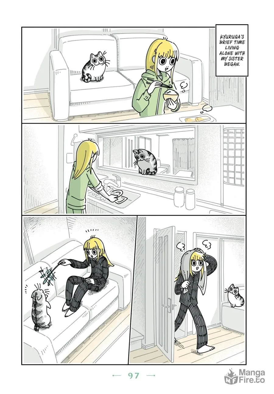 Nights With a Cat Chapter 11 page 12 - 