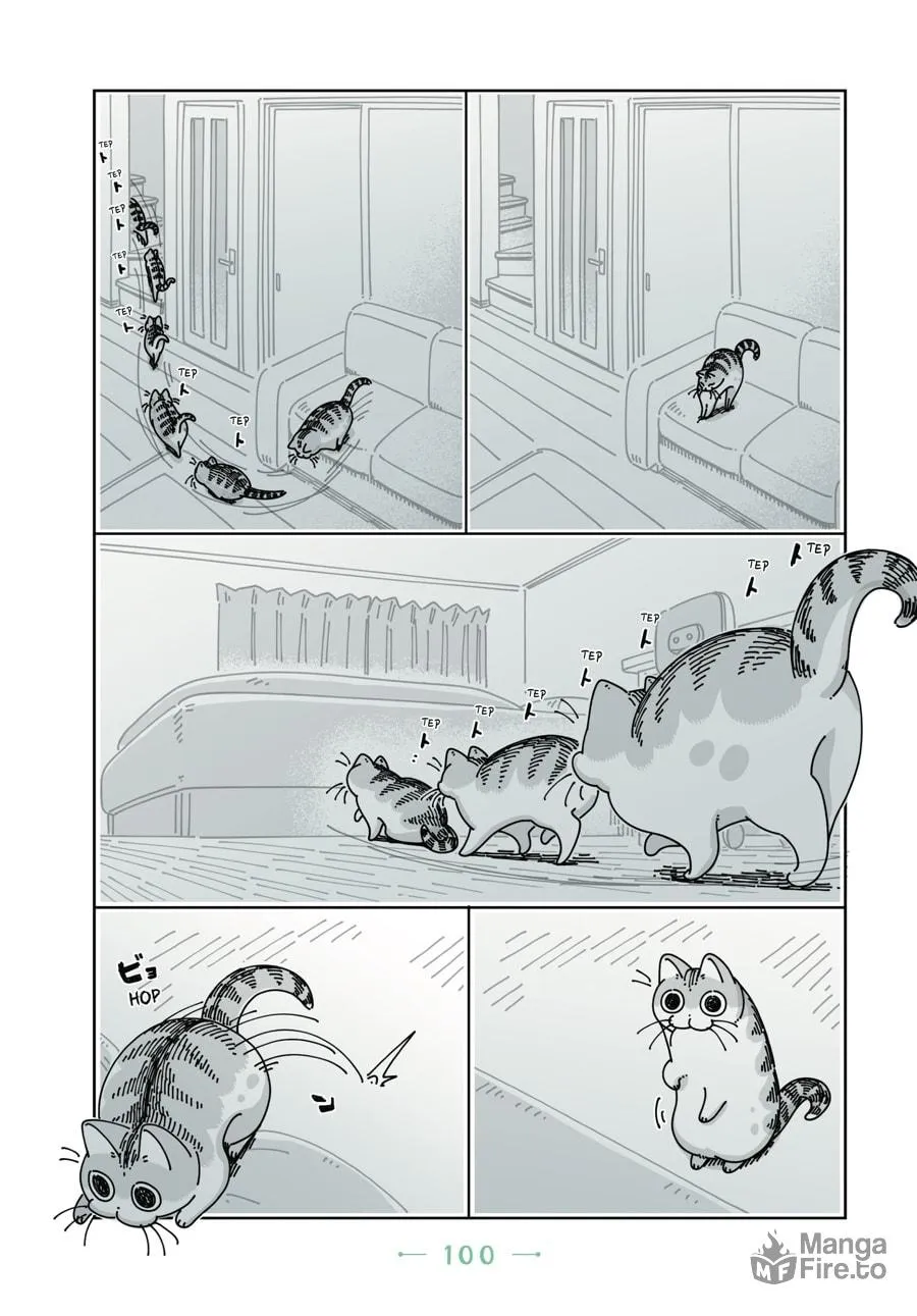 Nights With a Cat Chapter 11 page 15 - 