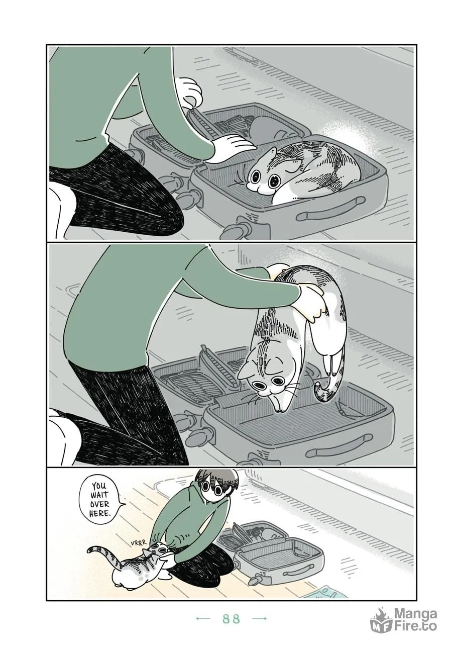 Nights With a Cat Chapter 11 page 3 - 