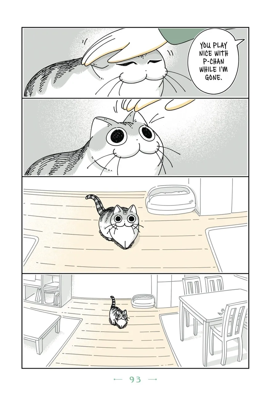 Nights With a Cat Chapter 11 page 8 - 