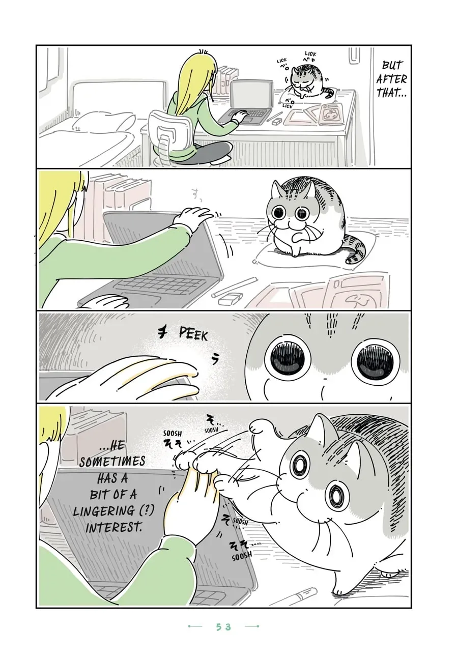 Nights With a Cat Chapter 110 page 3 - 