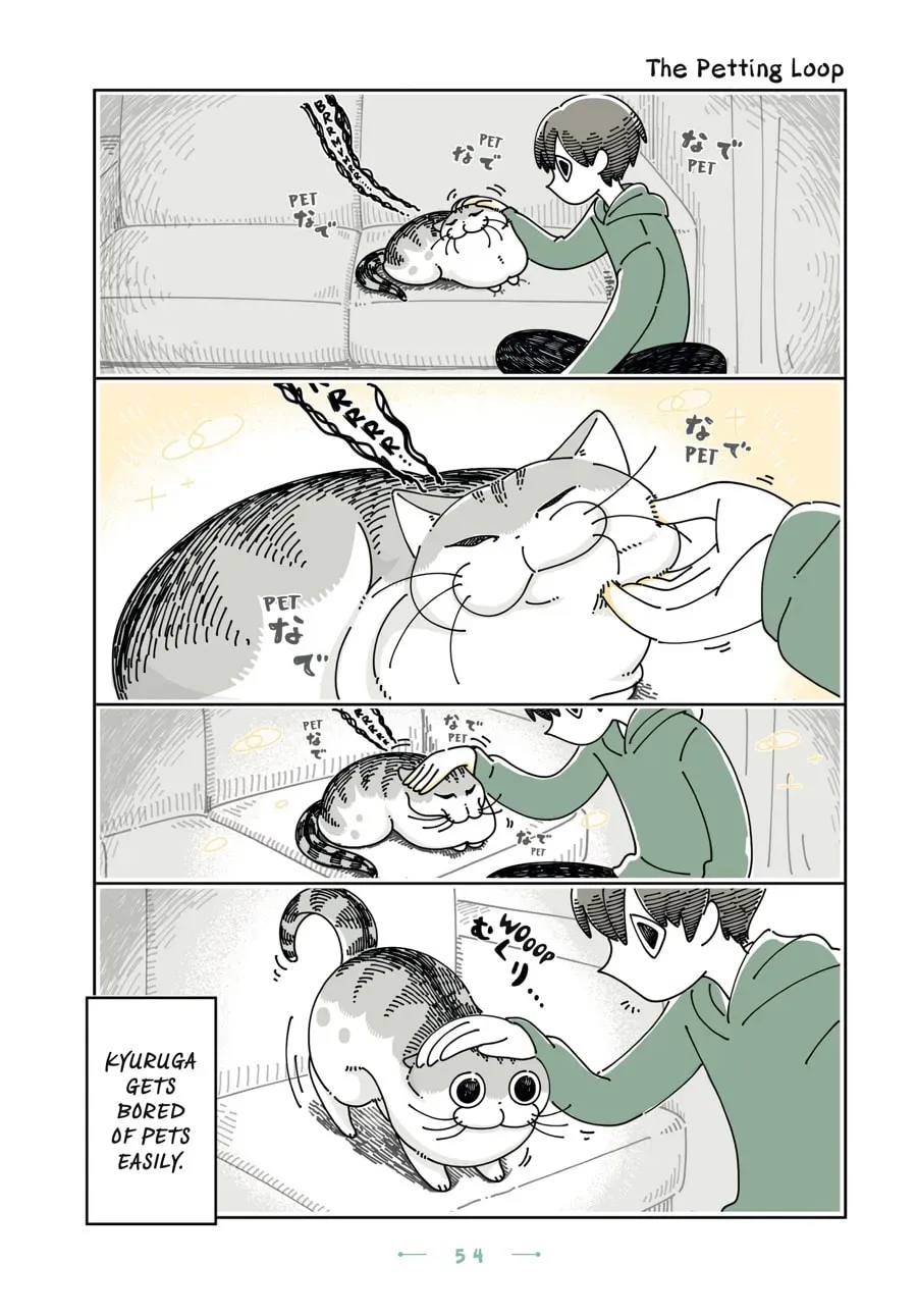 Nights With a Cat Chapter 111 page 1 - 