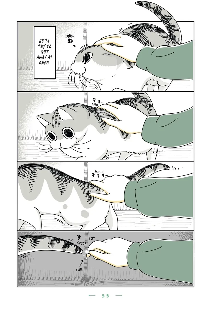 Nights With a Cat Chapter 111 page 2 - 