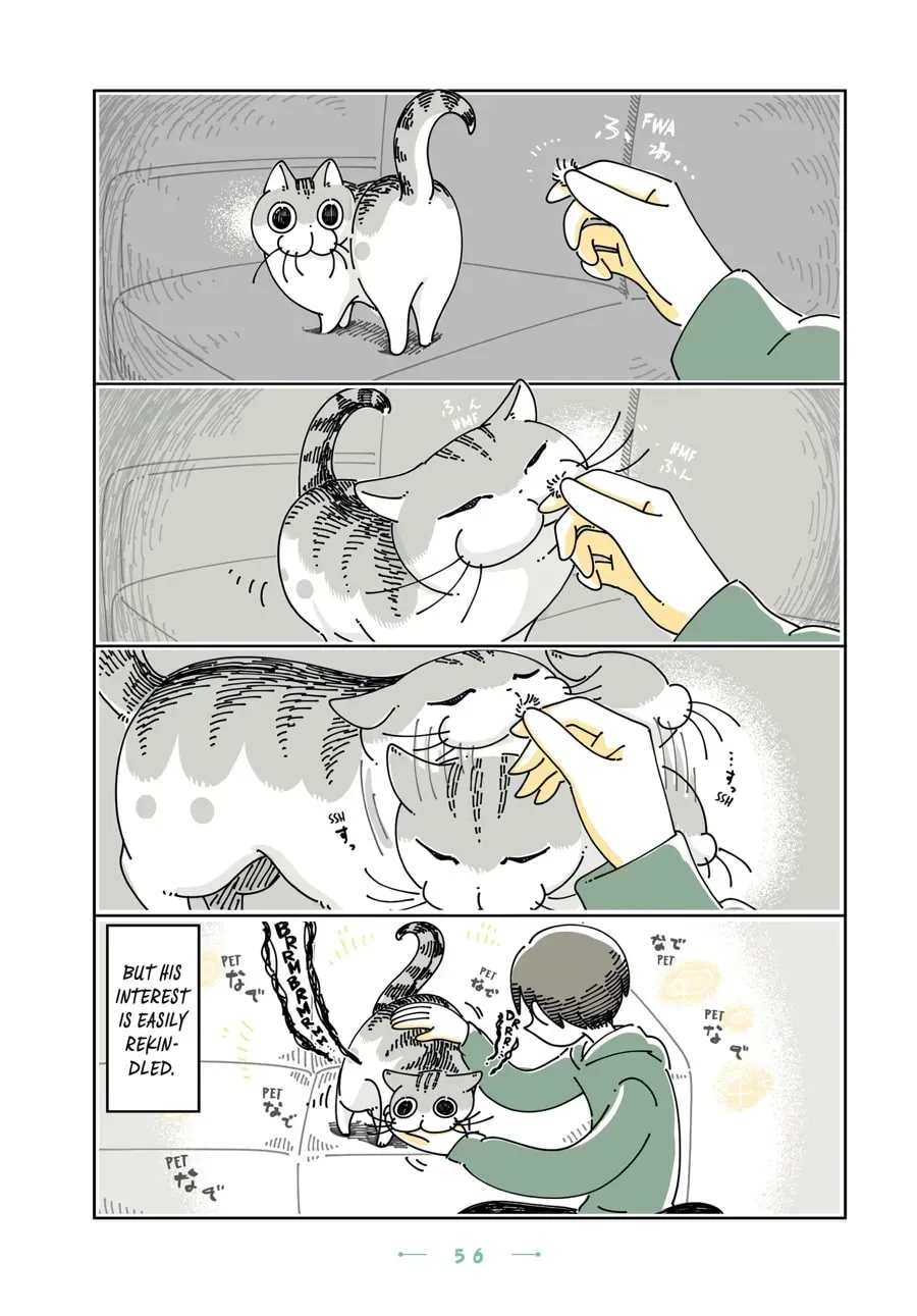 Nights With a Cat Chapter 111 page 3 - 
