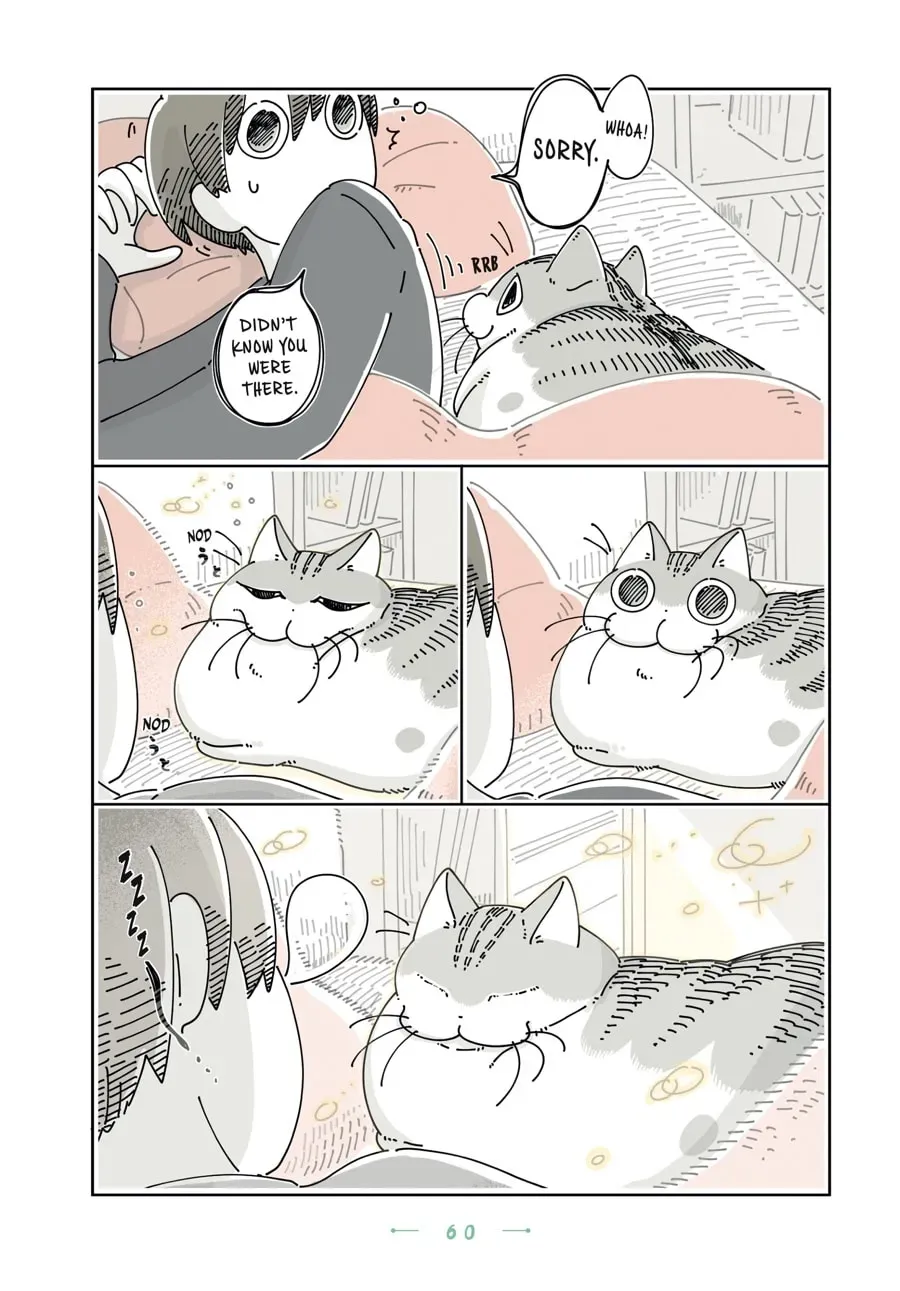 Nights With a Cat Chapter 113 page 2 - 
