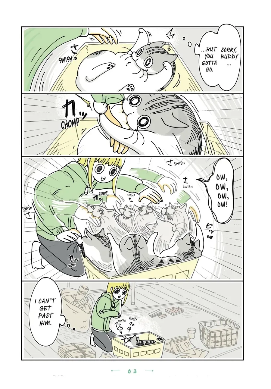 Nights With a Cat Chapter 114 page 2 - 