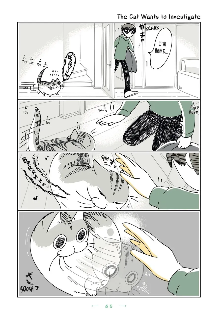 Nights With a Cat Chapter 115 page 1 - 