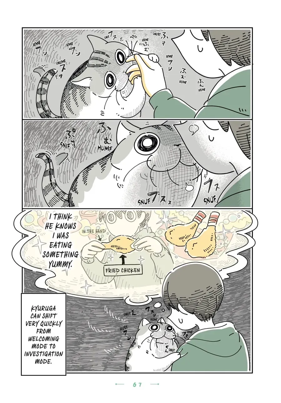 Nights With a Cat Chapter 115 page 3 - 