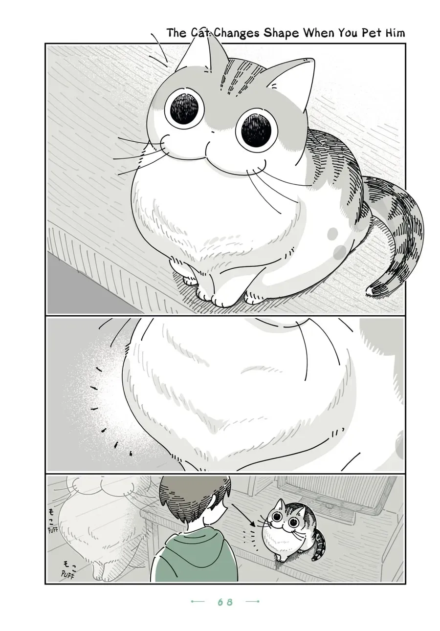 Nights With a Cat Chapter 116 page 1 - 