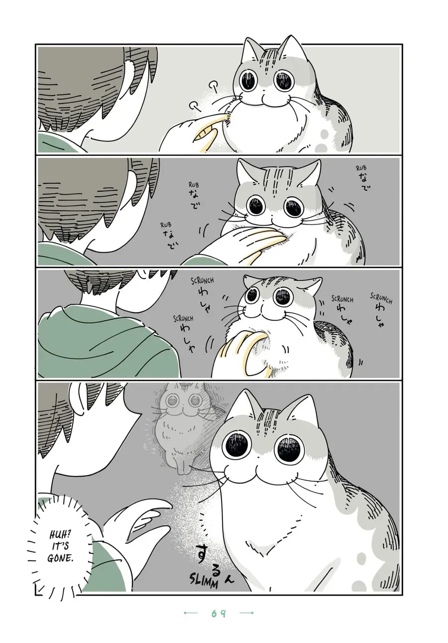 Nights With a Cat Chapter 116 page 2 - 