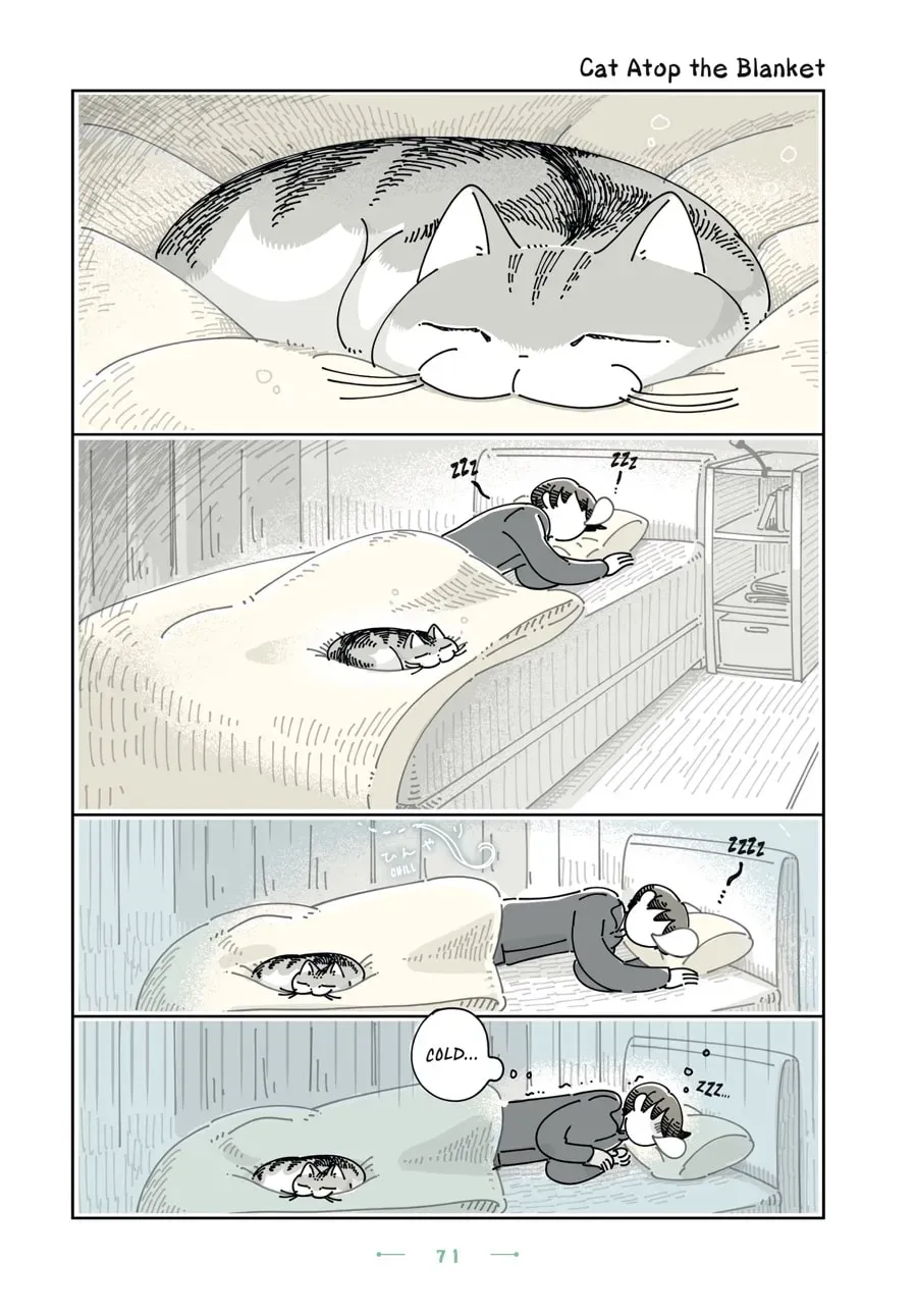 Nights With a Cat Chapter 117 page 1 - 