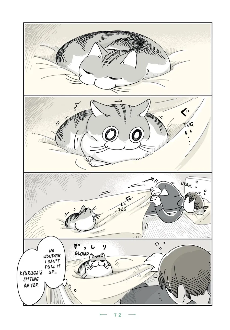 Nights With a Cat Chapter 117 page 2 - 