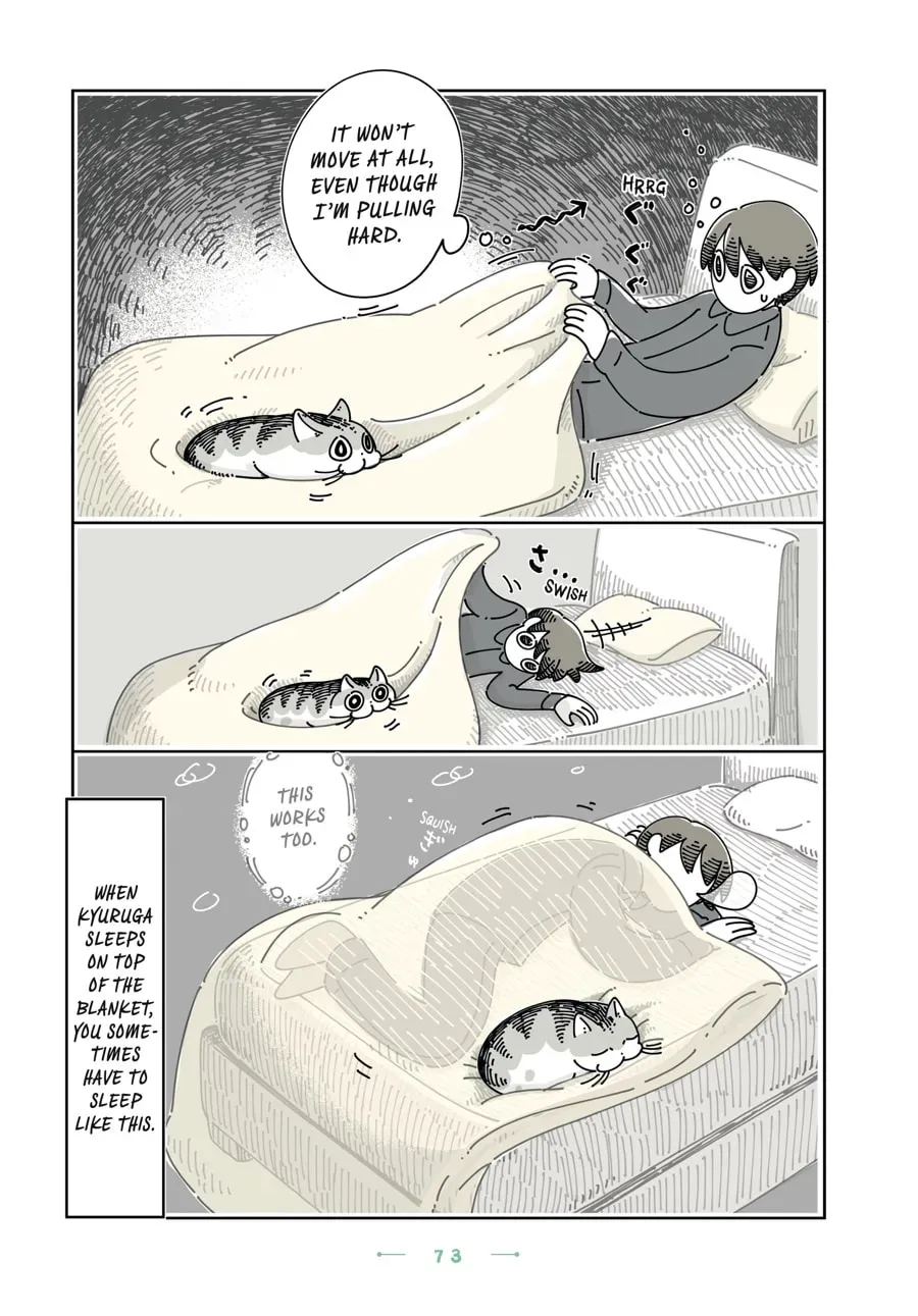 Nights With a Cat Chapter 117 page 3 - 