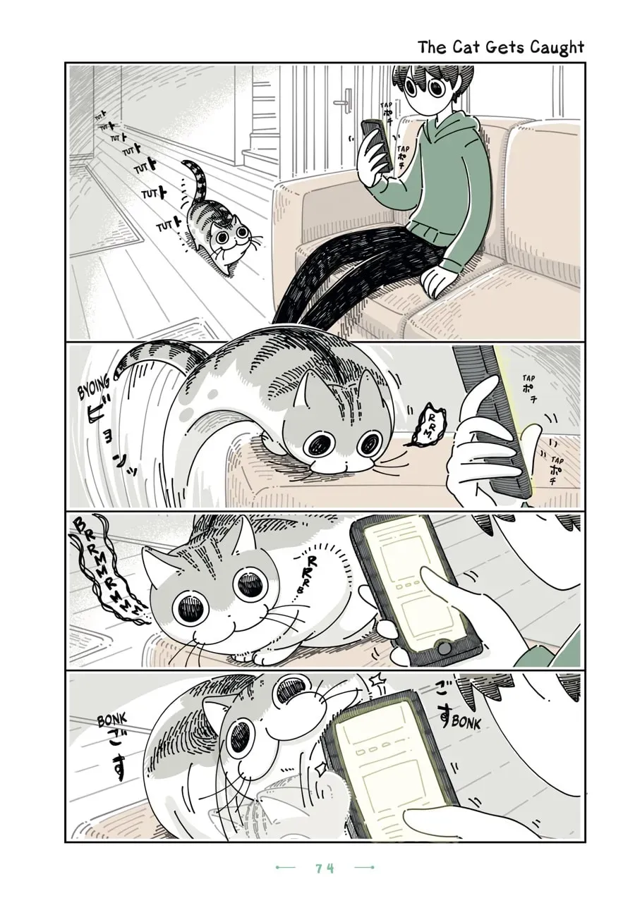 Nights With a Cat Chapter 118 page 1 - 