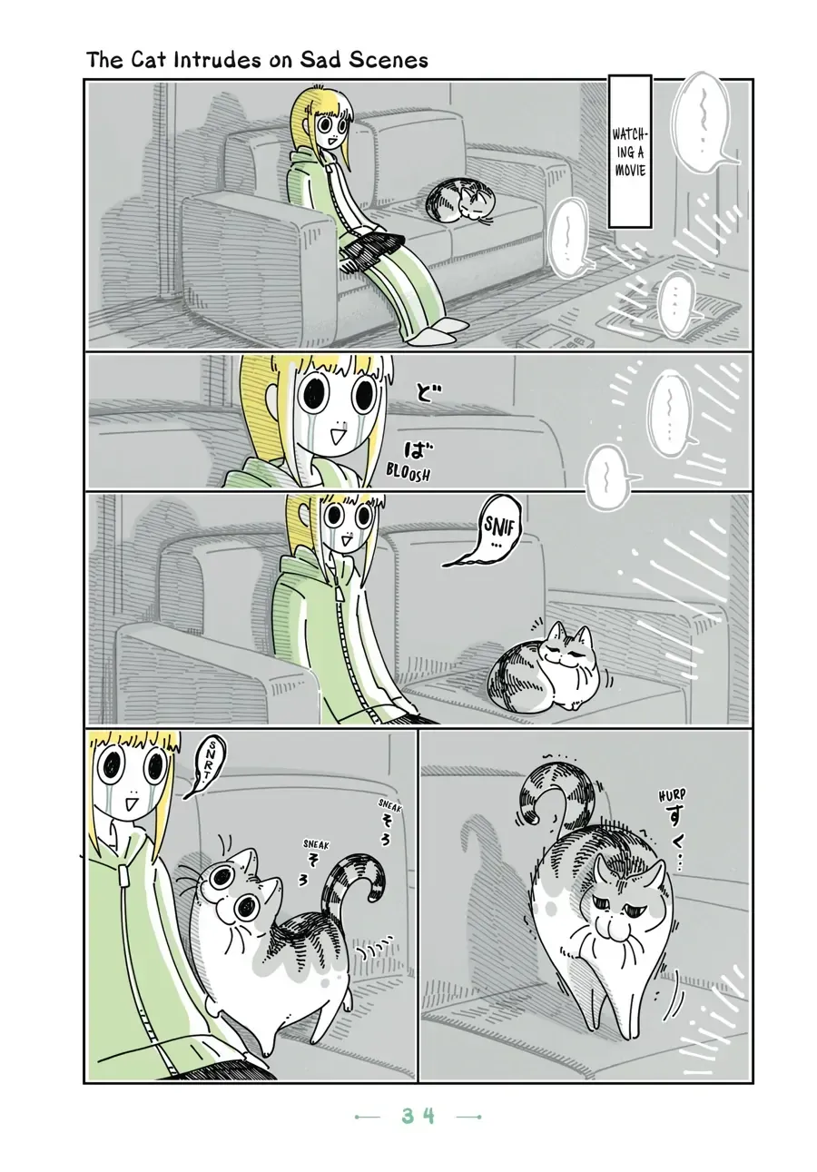 Nights With a Cat Chapter 12.2 page 1 - 