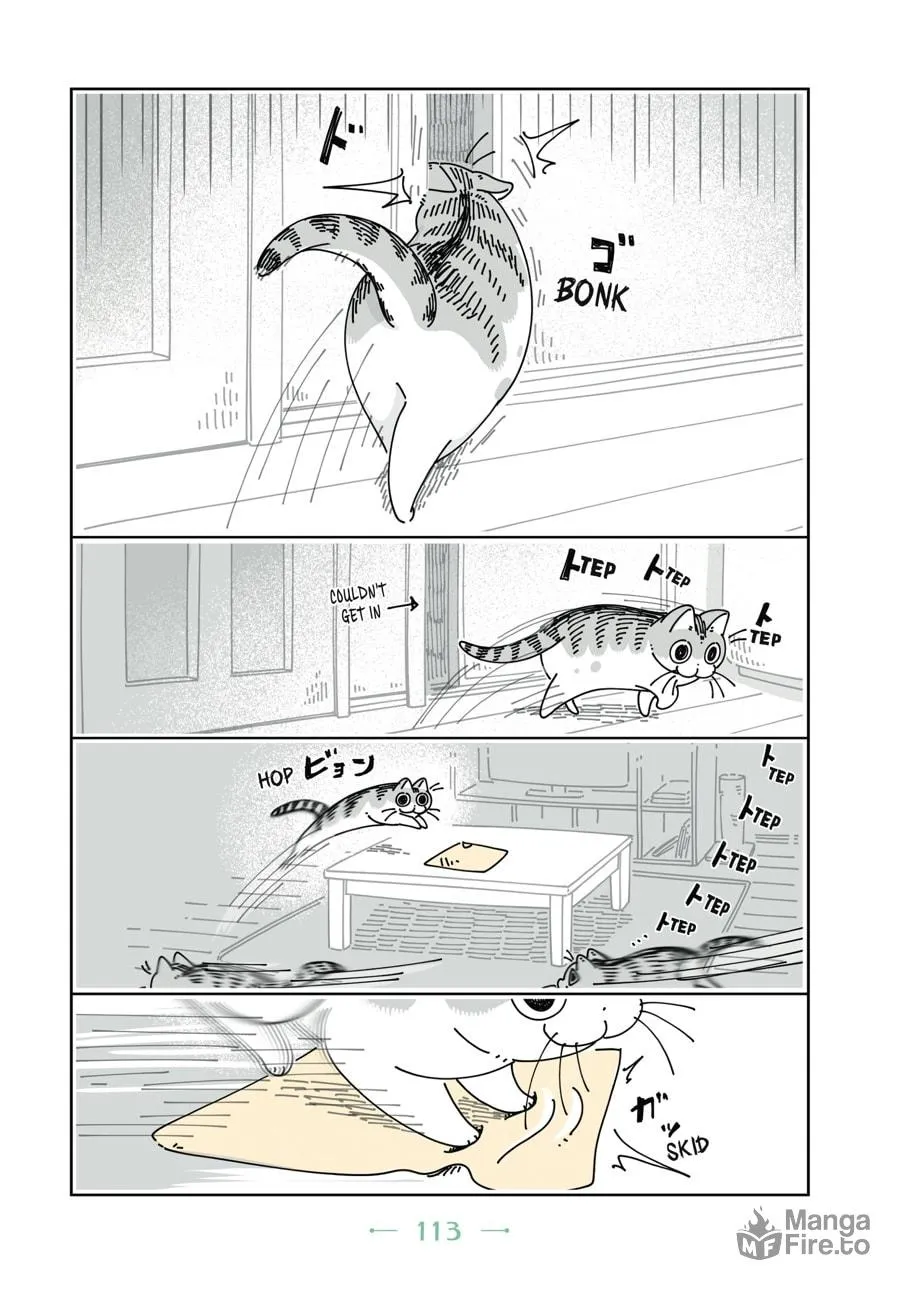 Nights With a Cat Chapter 12 page 12 - 