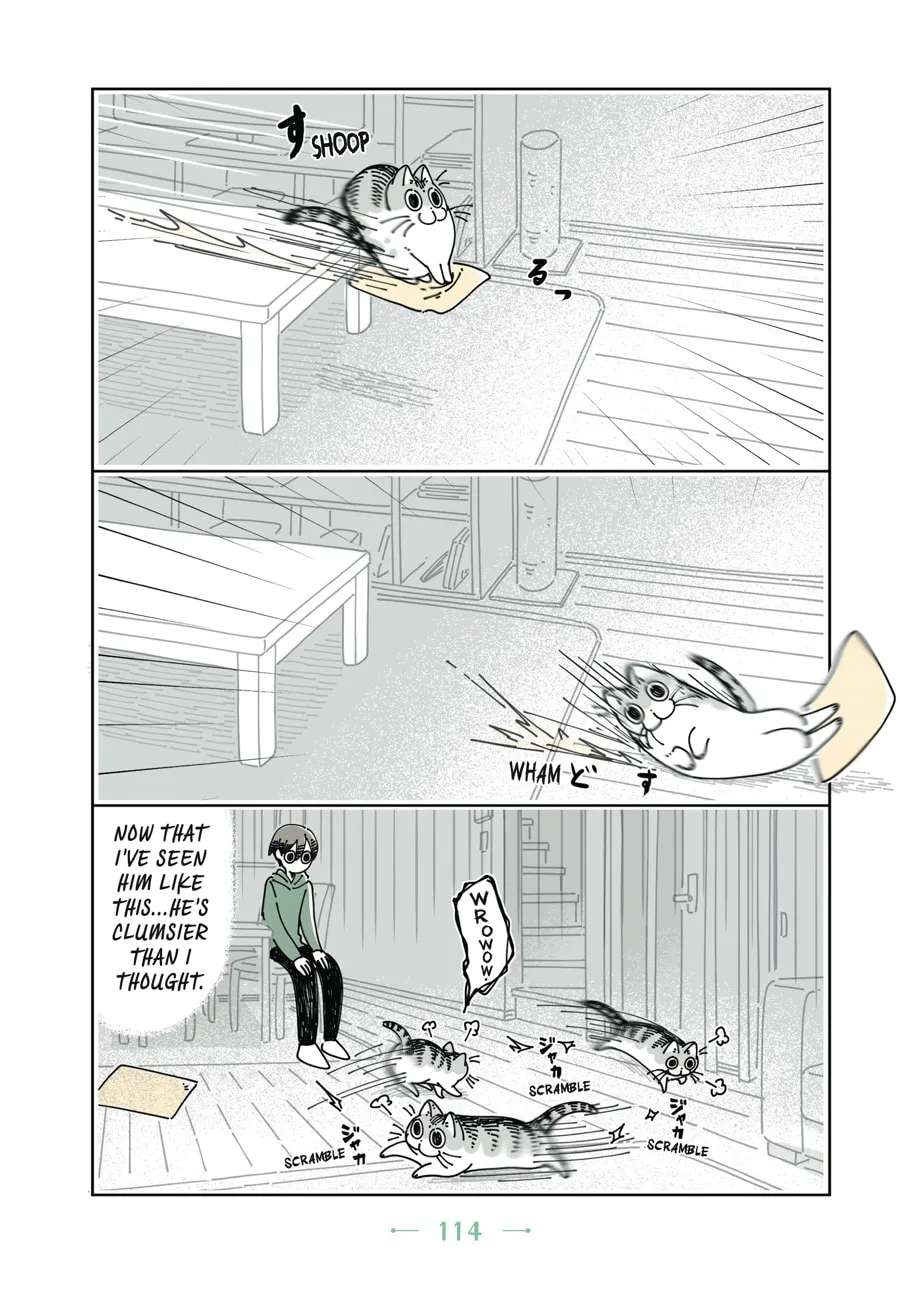 Nights With a Cat Chapter 12 page 13 - 