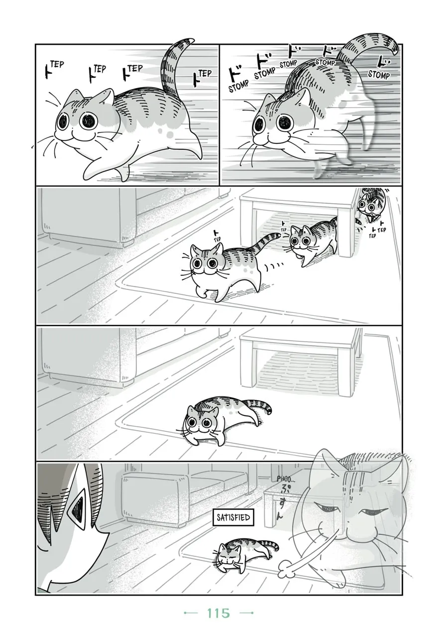 Nights With a Cat Chapter 12 page 14 - 