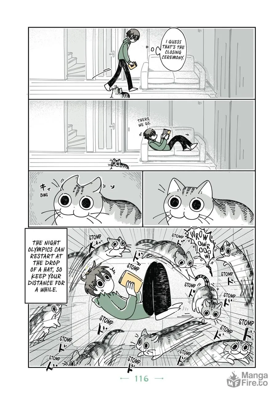 Nights With a Cat Chapter 12 page 15 - 
