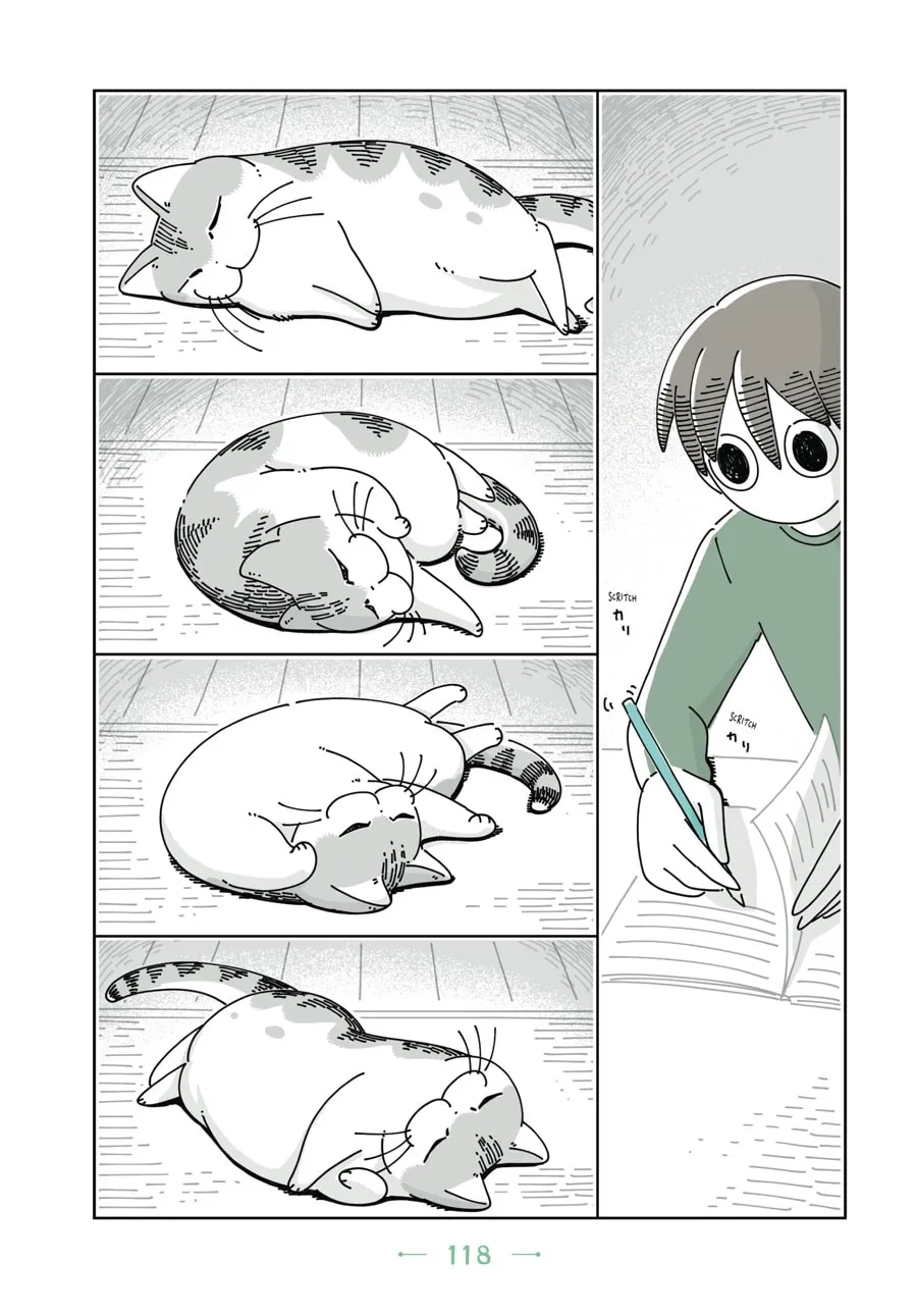 Nights With a Cat Chapter 12 page 17 - 