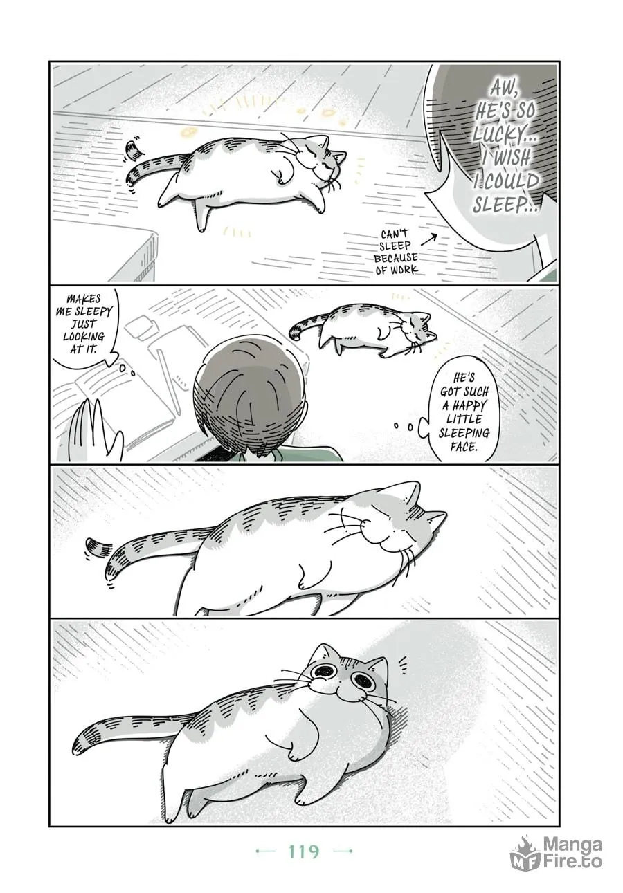 Nights With a Cat Chapter 12 page 18 - 