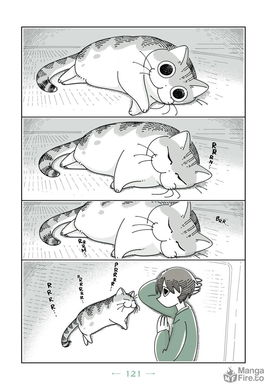 Nights With a Cat Chapter 12 page 20 - 