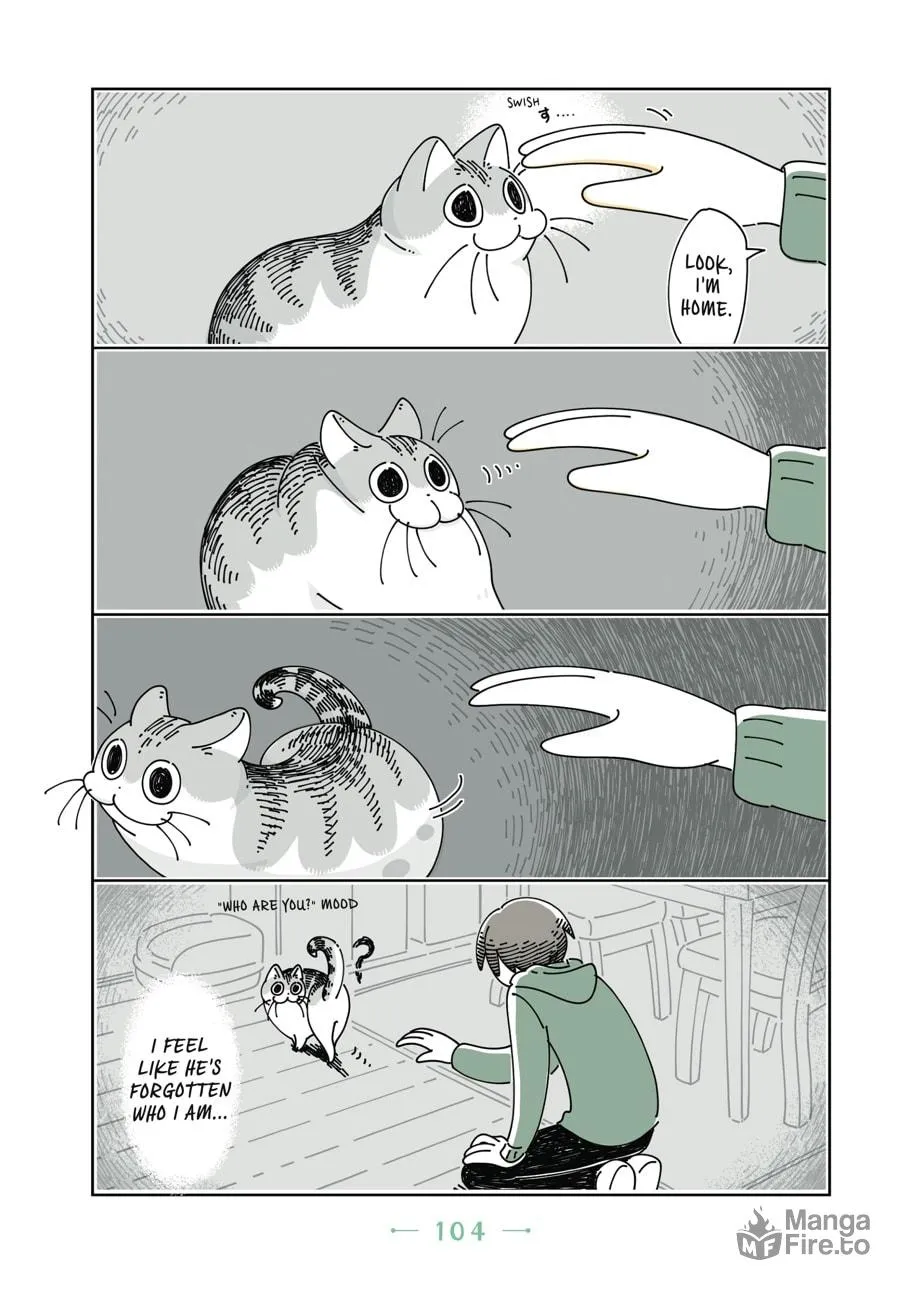 Nights With a Cat Chapter 12 page 3 - 