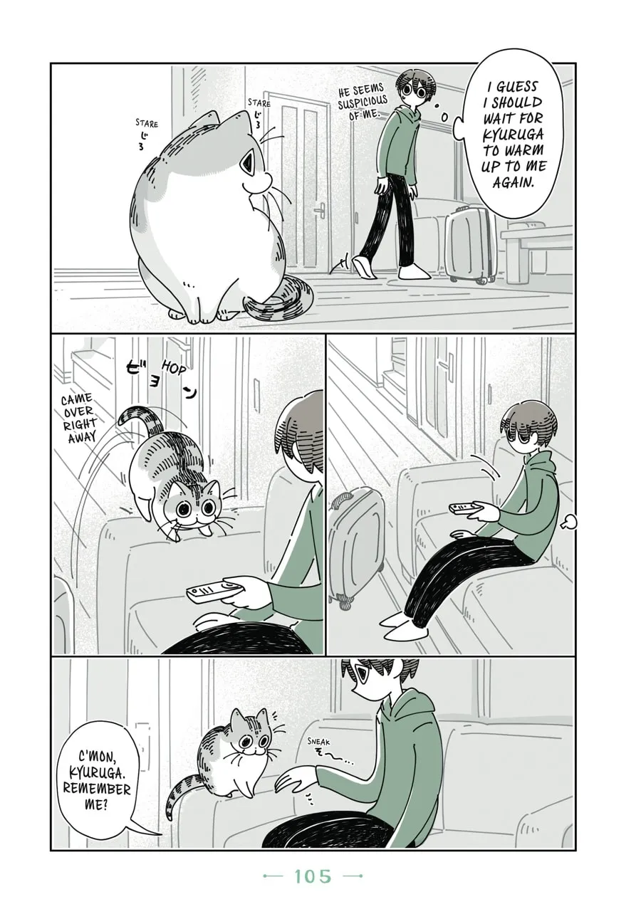 Nights With a Cat Chapter 12 page 4 - 