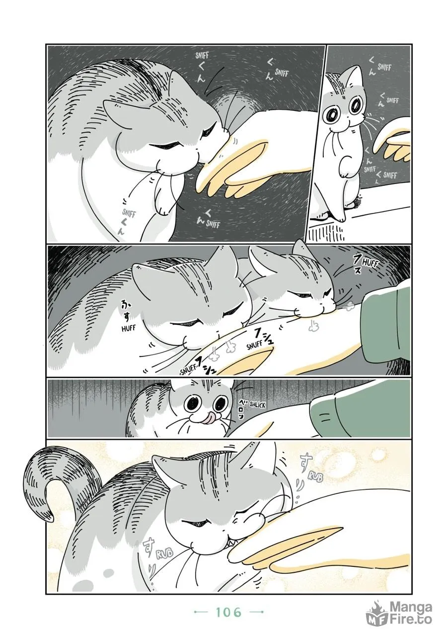 Nights With a Cat Chapter 12 page 5 - 