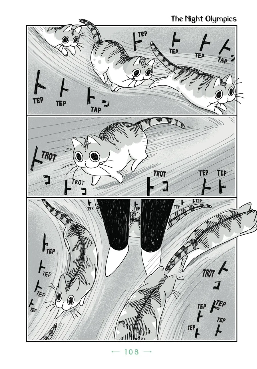 Nights With a Cat Chapter 12 page 7 - 