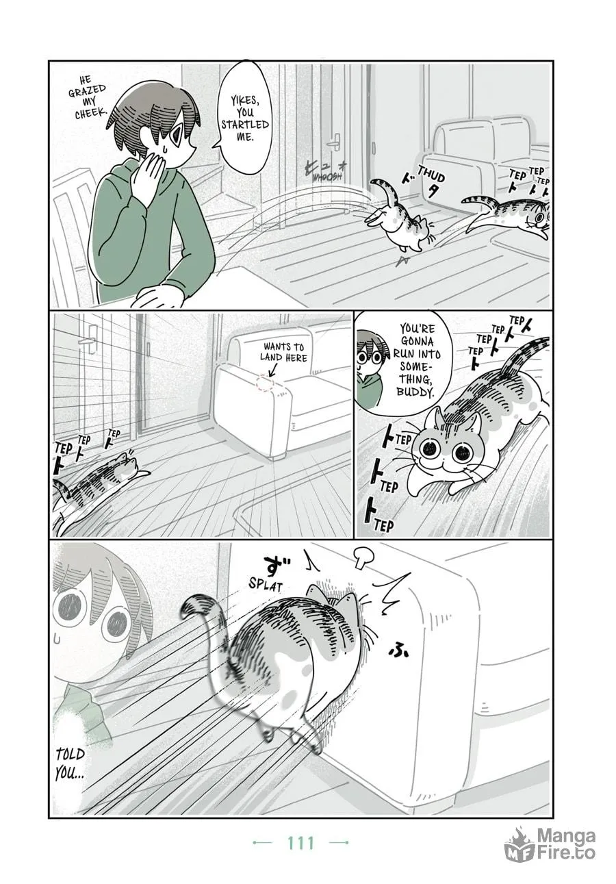 Nights With a Cat Chapter 12 page 10 - 