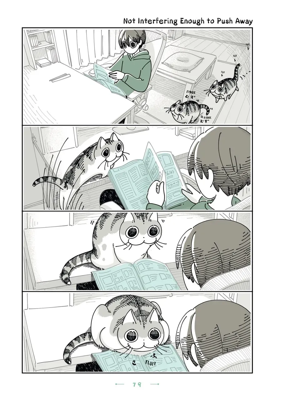 Nights With a Cat Chapter 120 page 1 - 
