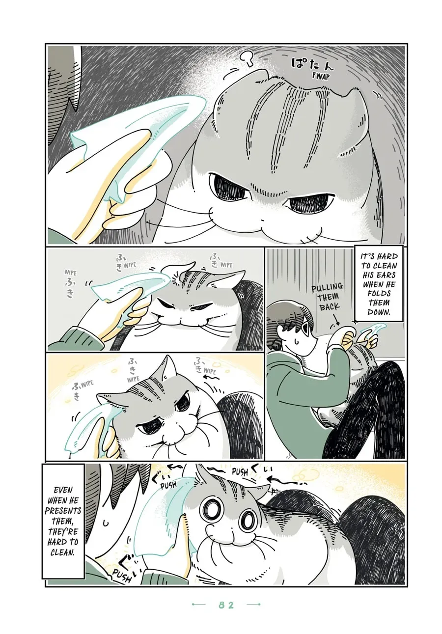 Nights With a Cat Chapter 121 page 2 - 