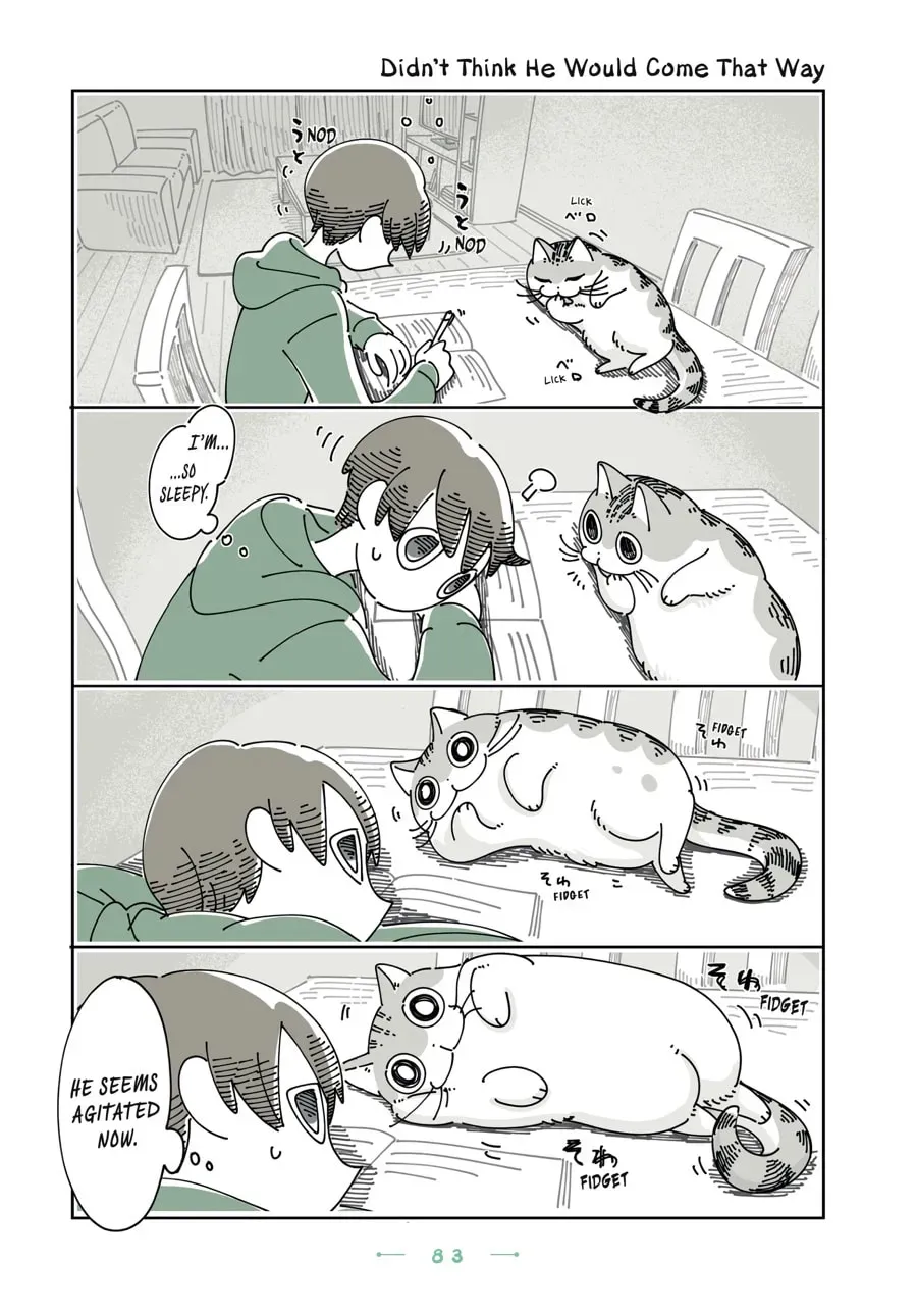 Nights With a Cat Chapter 122 page 1 - 