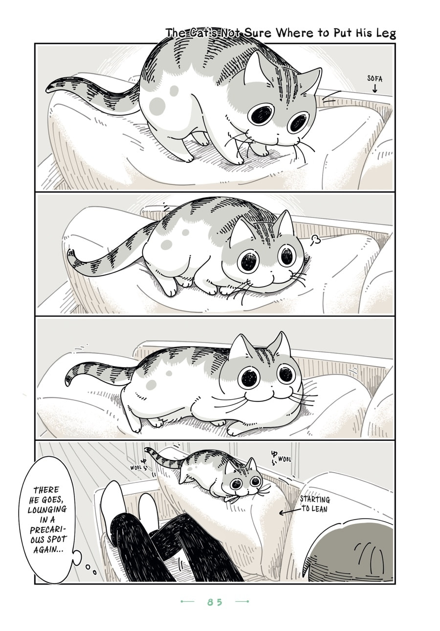 Nights With a Cat Chapter 123 page 1 - 