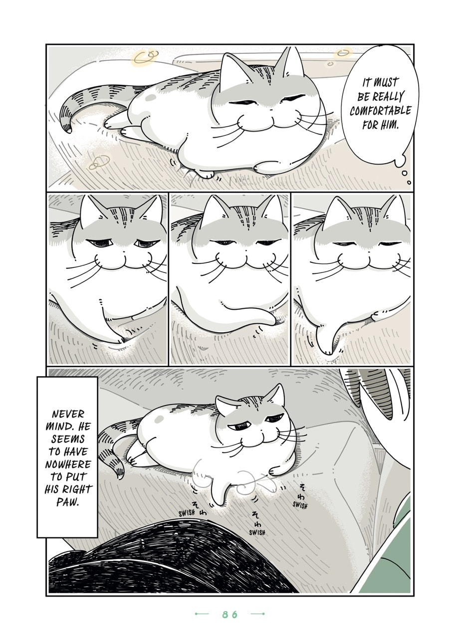 Nights With a Cat Chapter 123 page 2 - 