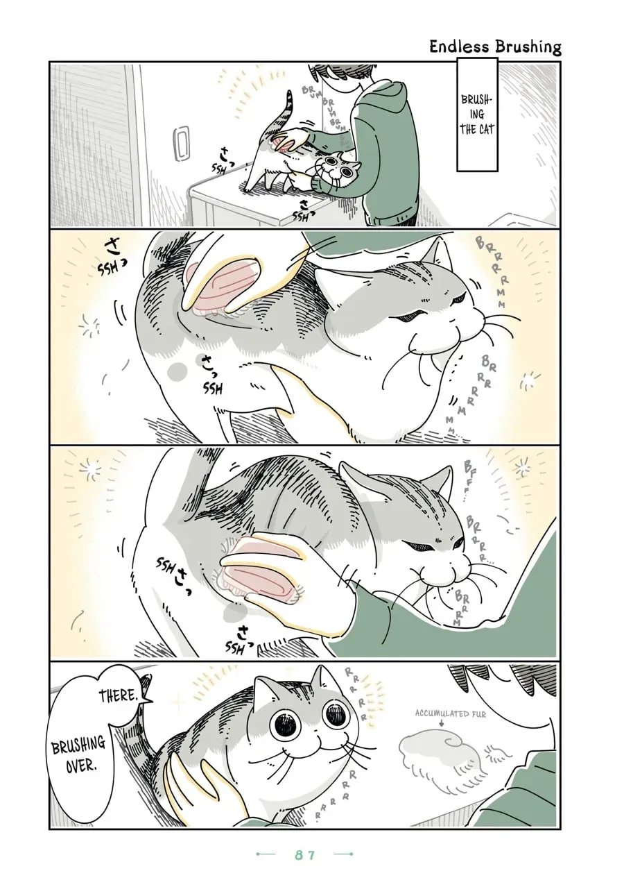 Nights With a Cat Chapter 124 page 1 - 