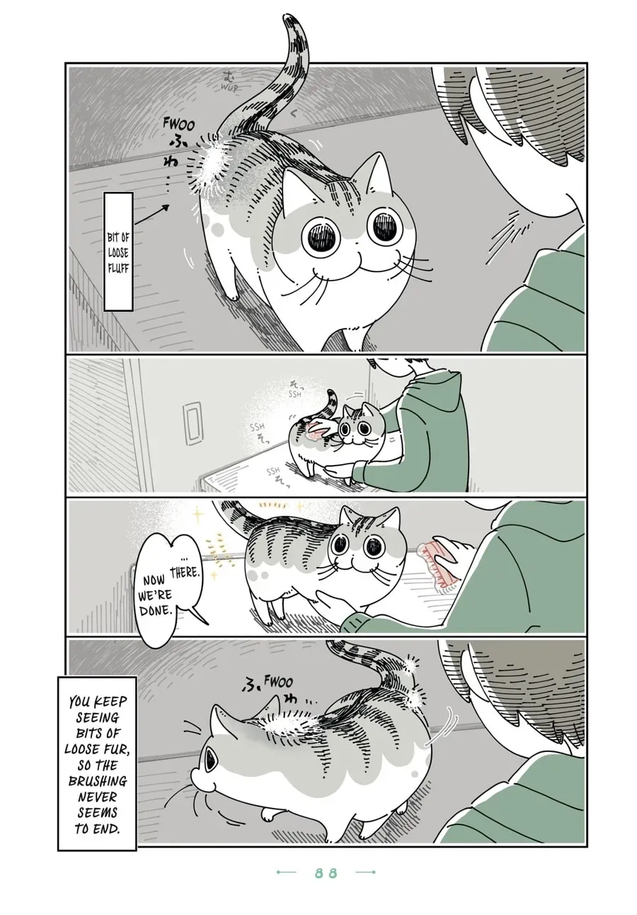 Nights With a Cat Chapter 124 page 2 - 