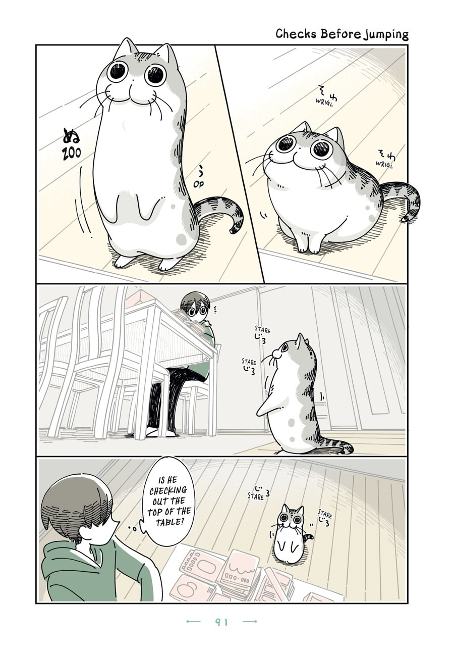 Nights With a Cat Chapter 126 page 1 - 