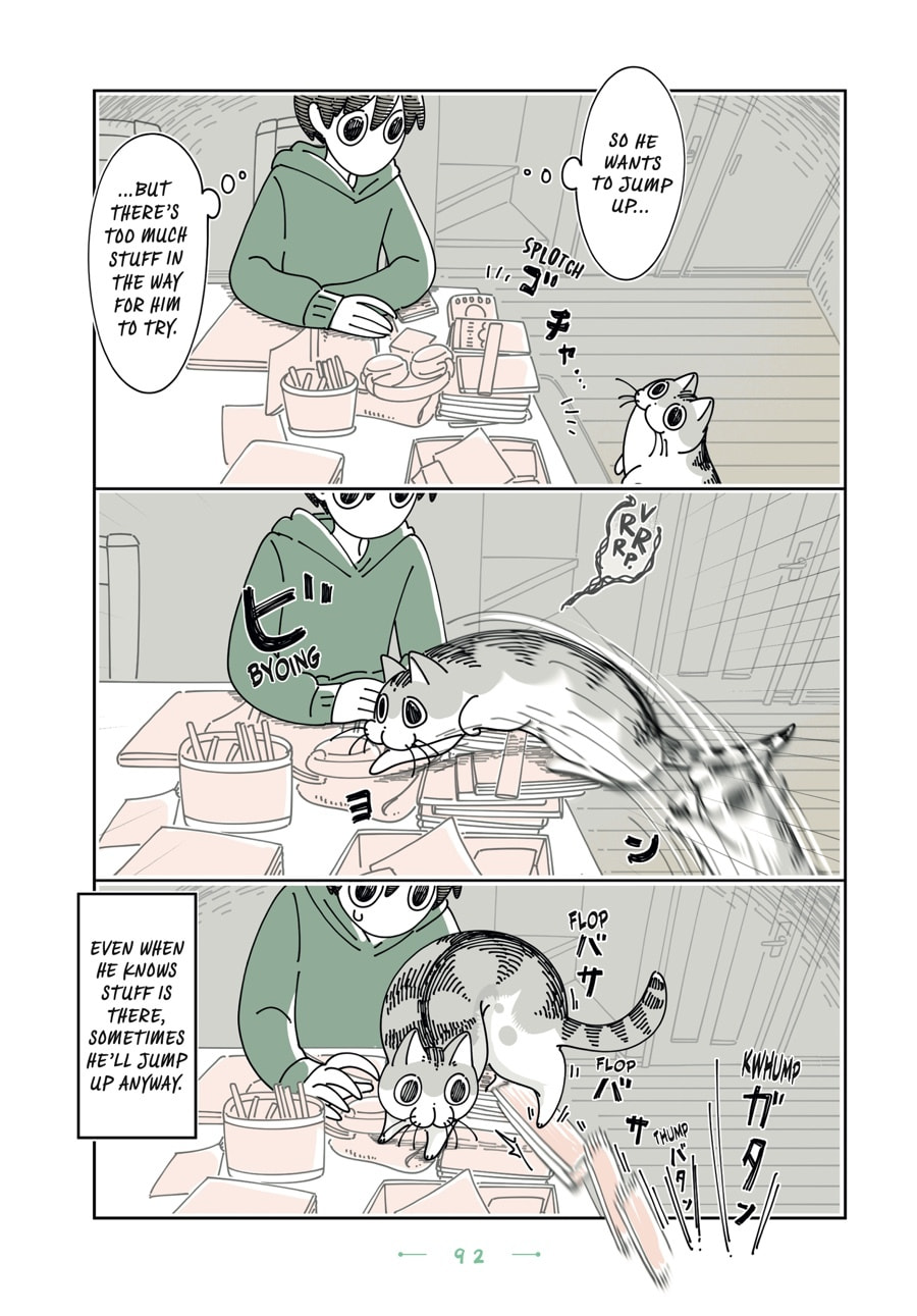 Nights With a Cat Chapter 126 page 2 - 