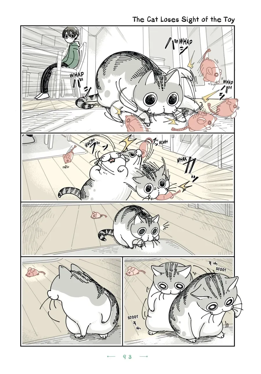 Nights With a Cat Chapter 127 page 1 - 