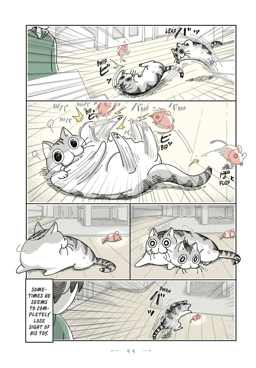 Nights With a Cat Chapter 127 page 2 - 