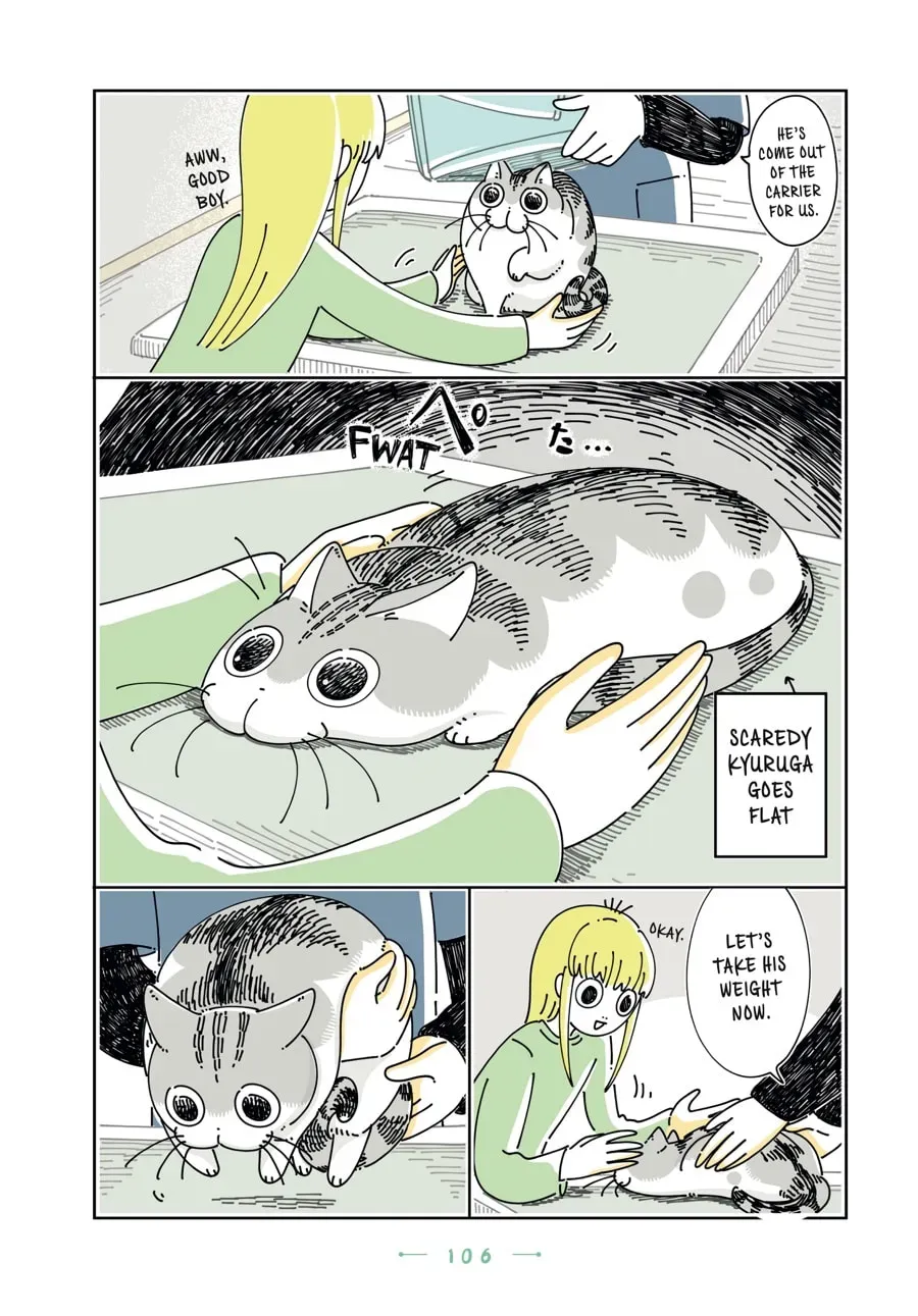 Nights With a Cat Chapter 128 page 11 - 