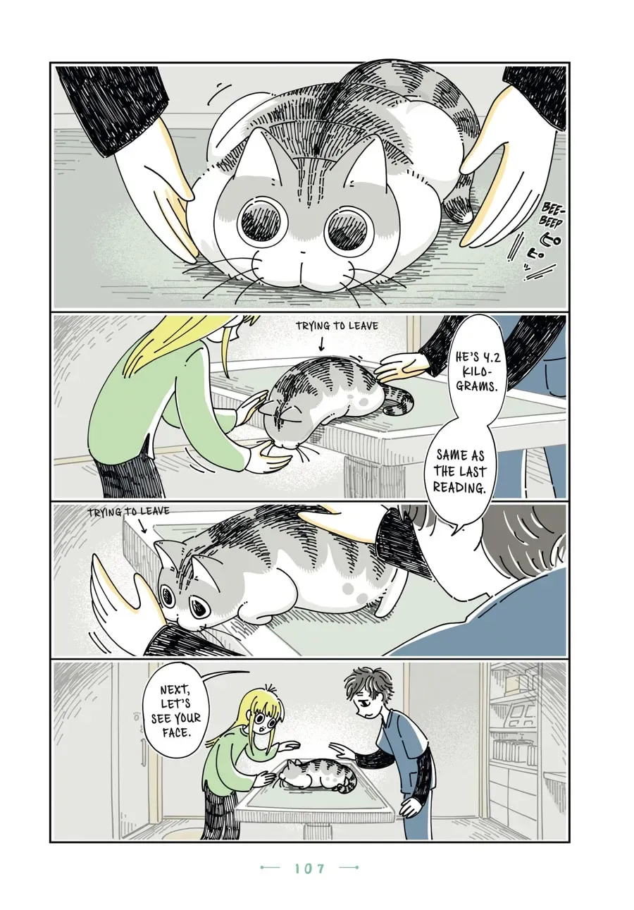 Nights With a Cat Chapter 128 page 12 - 