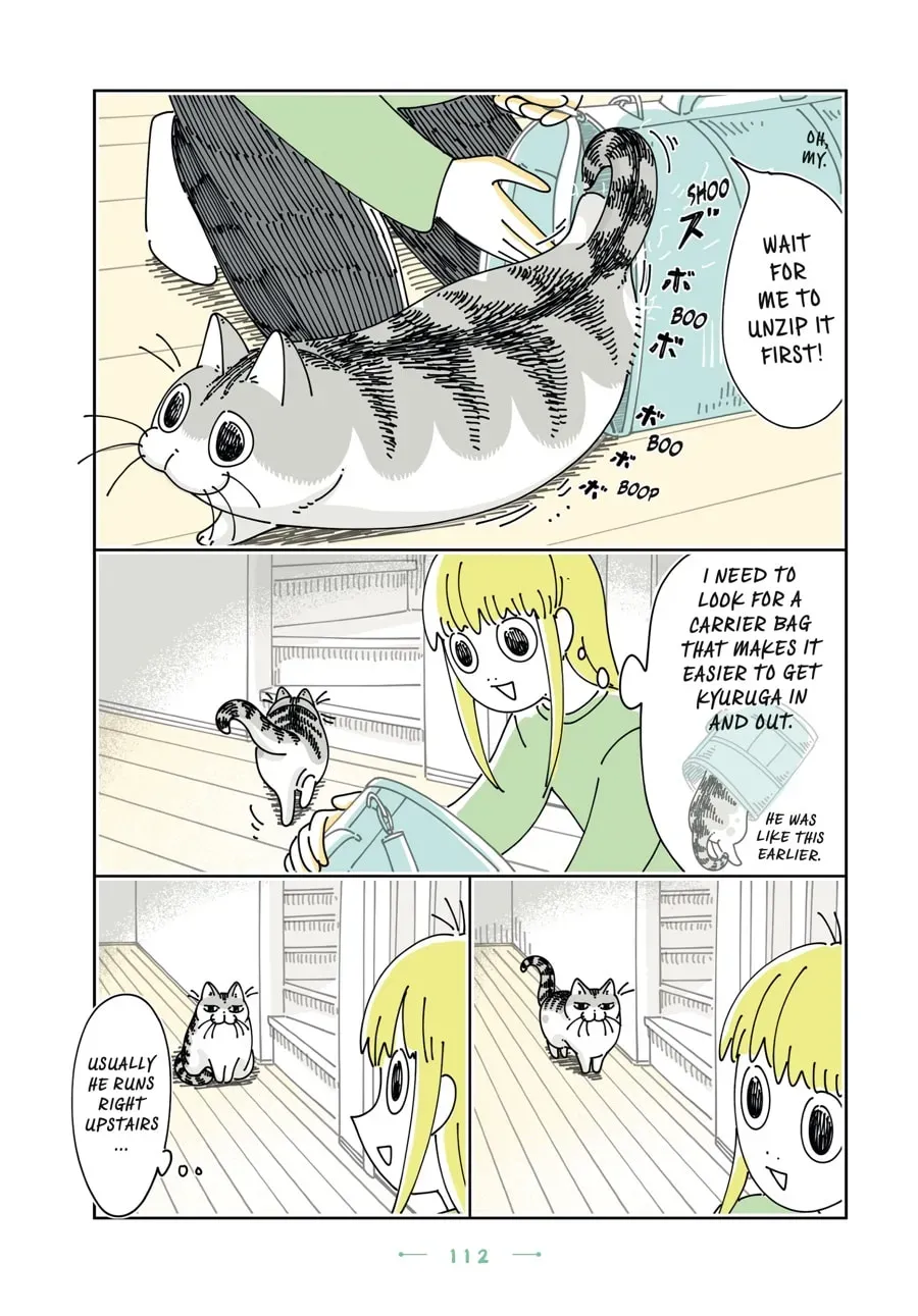 Nights With a Cat Chapter 128 page 17 - 