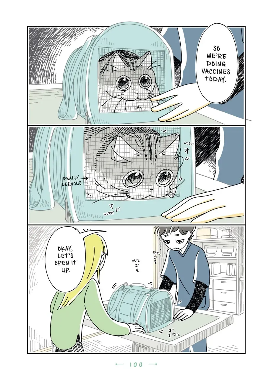 Nights With a Cat Chapter 128 page 5 - 