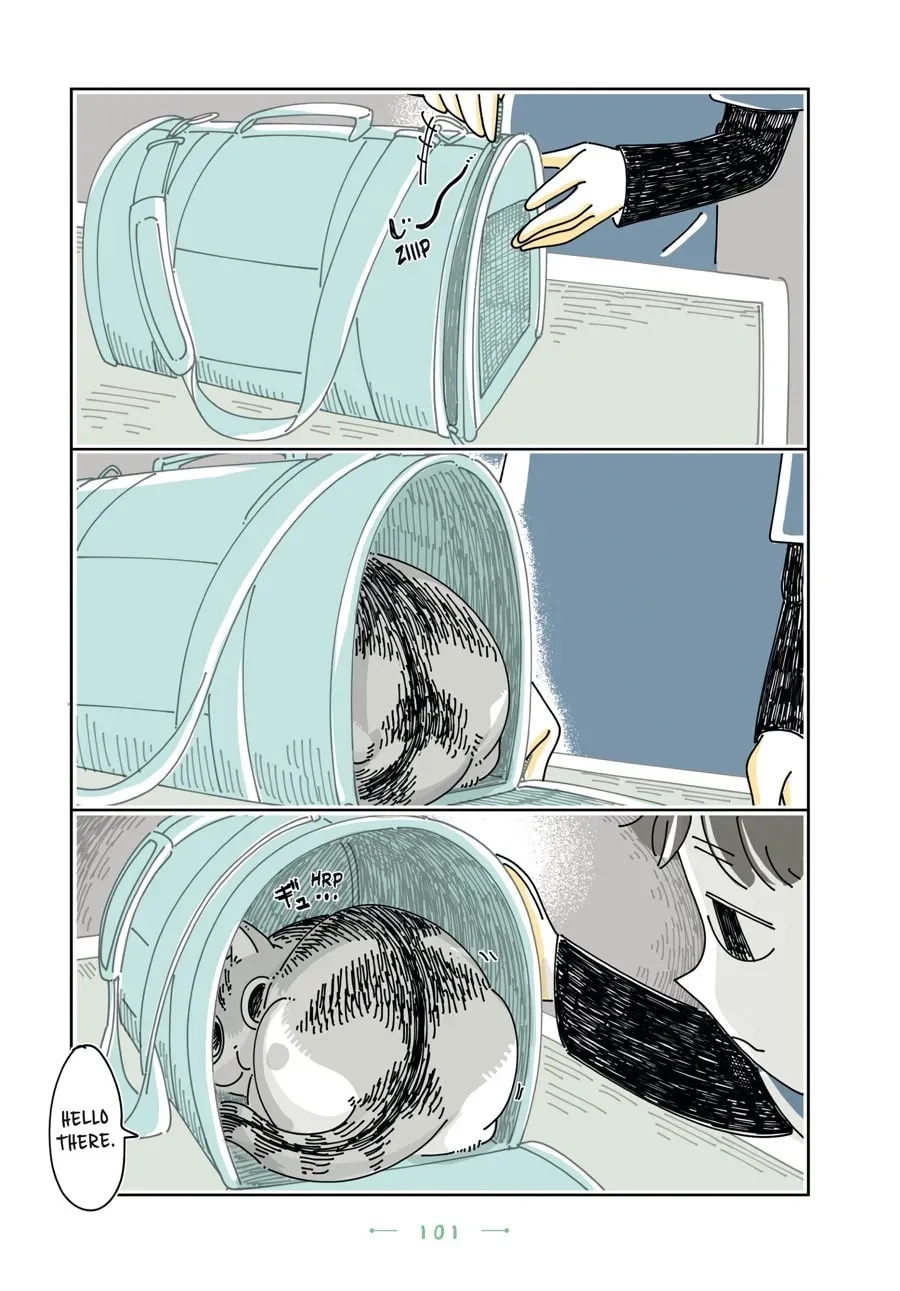 Nights With a Cat Chapter 128 page 6 - 